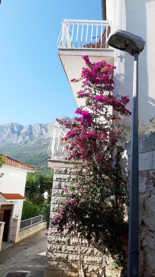 Apartmani Lara Gradac  Exterior photo